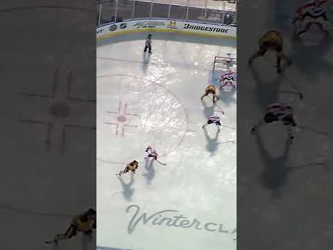 Sturm in OT 🐻 2010 Winter Classic