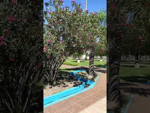 Termas de Chajarí. Entre Ríos.