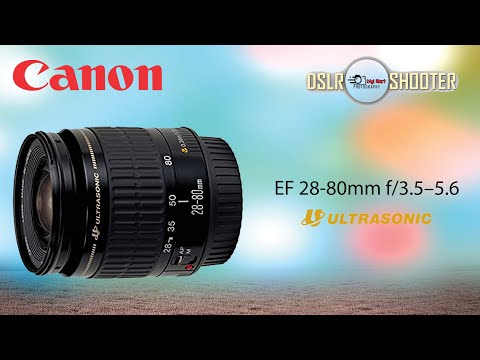 Video thumbnail for Video Review 3