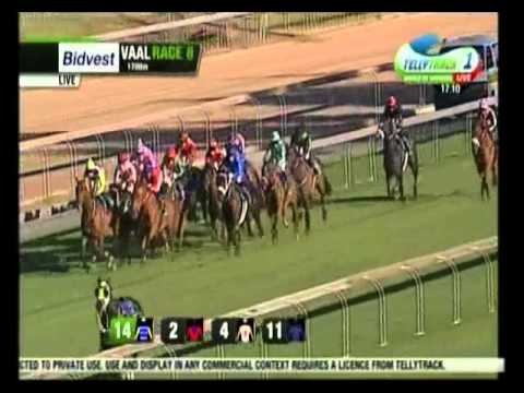 Scotsnog - 3rd win - Racing Association