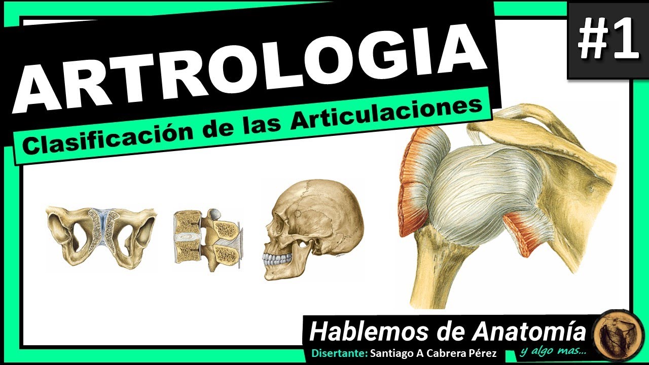 🔴👉 ARTICULACIONES - CLASIFICACION 🟩 ARTROLOGIA #1  🟪Hablemos de Anatomía y Algo Mas...