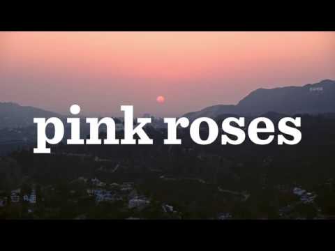download lagu mp3 mp4 Hollywood Lyrics Pink Roses, download lagu Hollywood Lyrics Pink Roses gratis, unduh video klip Hollywood Lyrics Pink Roses