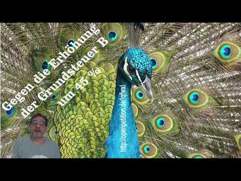 Gegen die Erhöhung der Grundsteuer um 45 % neues update