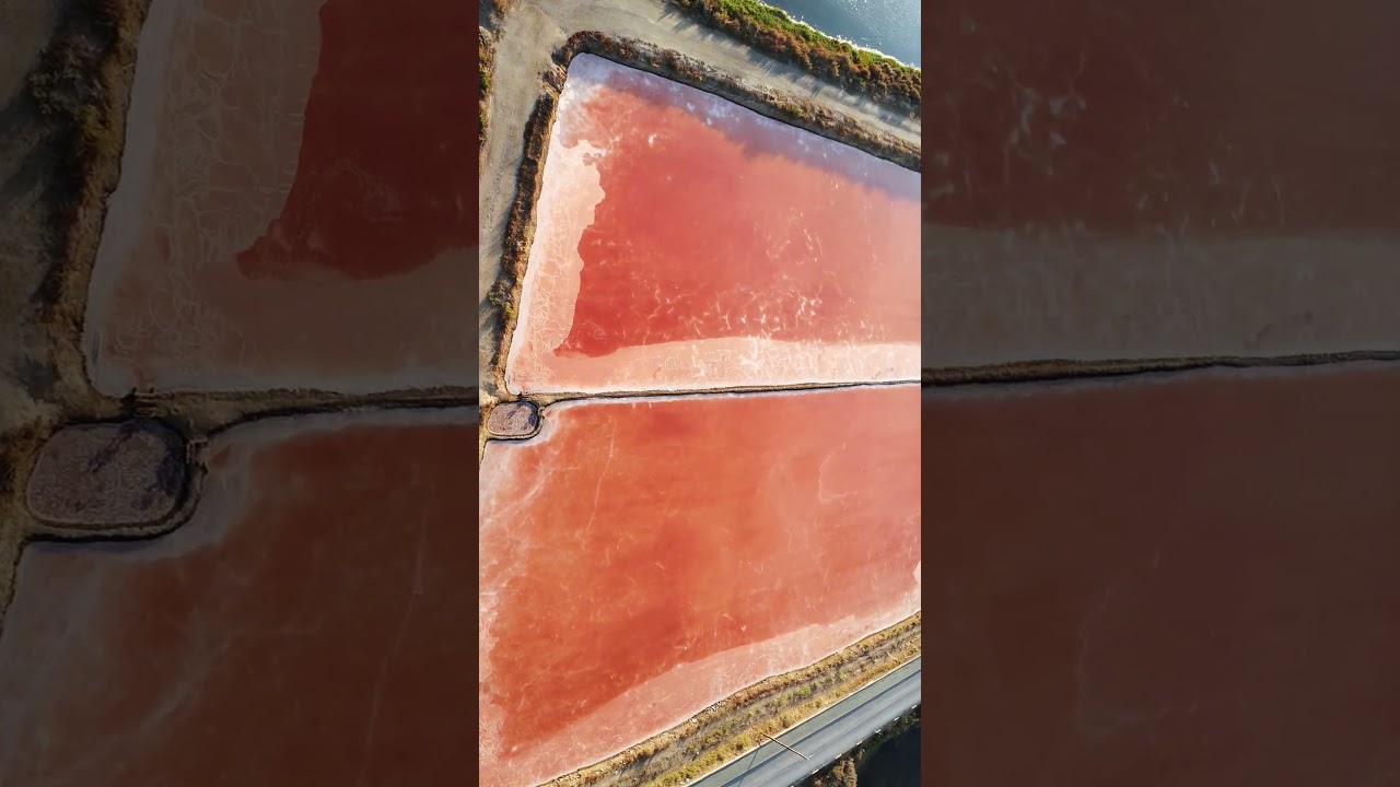 YouTube Short thumbnail