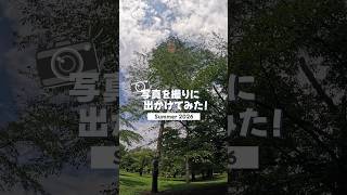 【Vlog】写真を撮りに出かけてみた！#vlog #写真 #shorts