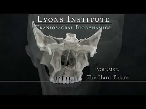Lyons Institute - Craniosacral Biodynamics 2: The Hard Palate - Introduction