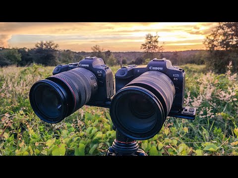 External Review Video Nam8fvK7vZA for Canon EOS R5 Full-Frame Mirrorless Camera