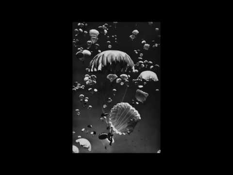 Peacock Affect - Sleep