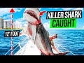Catching and EATING A Giant Killer Tiger Shark! {Catch Clean Cook}