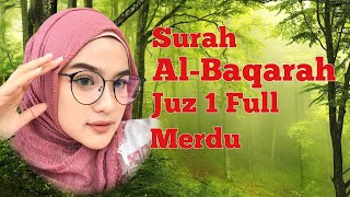 Download lagu Surat Ke 2 | Al Baqarah | Juz 1 | Lantunan Ayat Suci Al Quran Merdu Menenangkan Hati dan Jiwa mp3