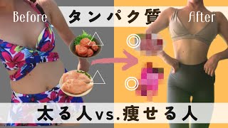 【筋トレ栄養解説】タンパク質で太る人・痩せる人