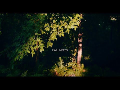 Attom - Pathways