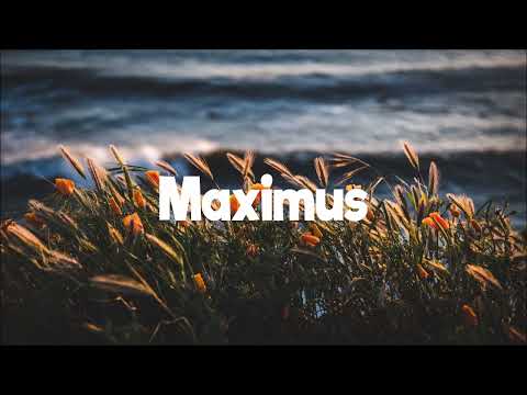 Miley Cyrus - Flowers (DJ Max Remix)
