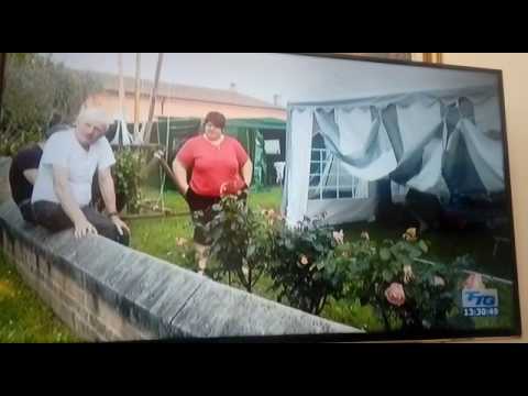 furto alpini pavone del mella treviso