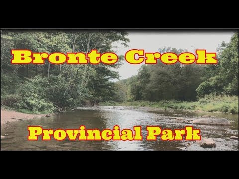 Bronte Creek Provincial Park | Aerial view of the Creek and Hiking trail
