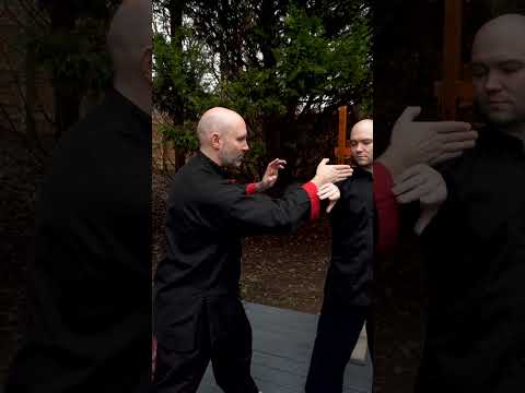 Tai Chi Grasp the Sparrows Tail Application