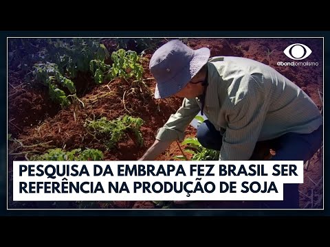 Ciência e inovação no alimento do brasileiro é marca da Embrapa | Jornal da Band