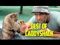 Best Of Caddyshack 1980