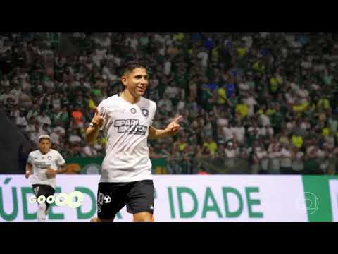 2º GOL DO BOTAFOGO - PALMEIRAS 1 X 3 BOTAFOGO - GLOBO