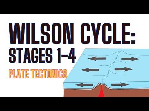 What Are The Stages Of The Wilson Cycle?