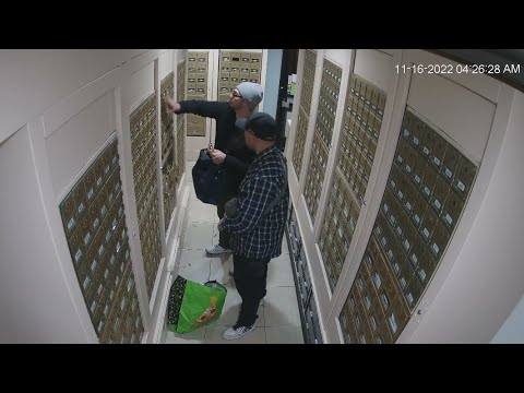 Homes across Santa Monica targeted by mail thieves