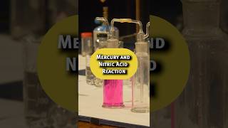 Colourful chemistry with Andrew Szydlo #shorts #chemistry #experiment #science #lecturer