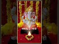 Ganesh Ji Aarti 4k Status ️ Ganpati Bappa Status Ytshorts Trendingshorts Viralshorts