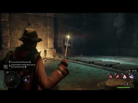 Hogwarts Legacy The Tomb of the Villager Puzzle Solution in Hogsmeade