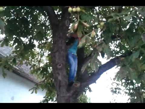 michi und mir is fad