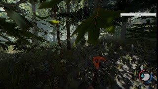 Hardly Amused Live Stream