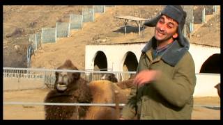 Kargin Haghordum sketch 631 (Hayko Mko)