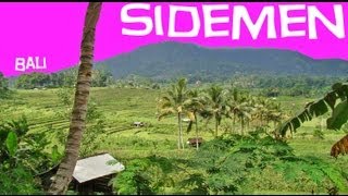 preview picture of video 'Sidemen à Bali : Randonnée dans les rizières et temple Besakih'