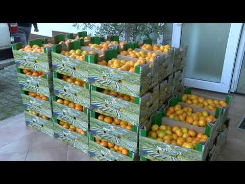 9.11.2020. Vijesti Osječke televizije