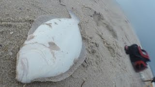 21" Fluke (Flounder) & Bluefish TORNADO WARNING Surf Fishing The STORM!!!