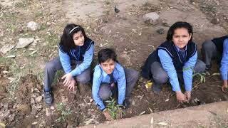 Bosco Senior Secondary Public School Video