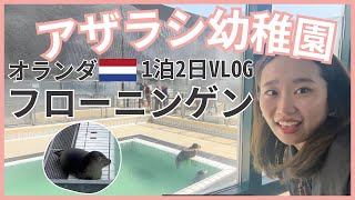 アザラシ幼稚園に行ってきた！オランダ フローニンゲン1泊2日旅