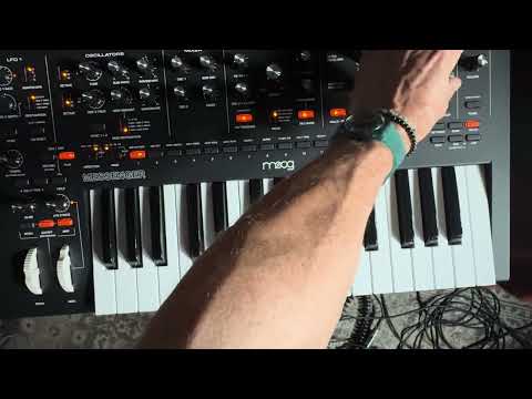 Moog Messenger 32-Key Monophonic Synthesizer 2025 - Present - Black image 5