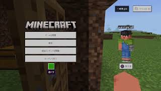 ［マイクラ］初心者が行く！ネザー