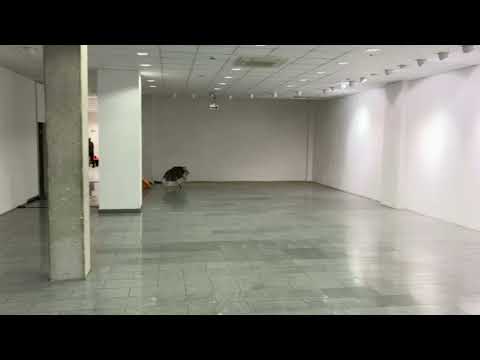 feedback 2, for string trio (2024), joan riera robusté