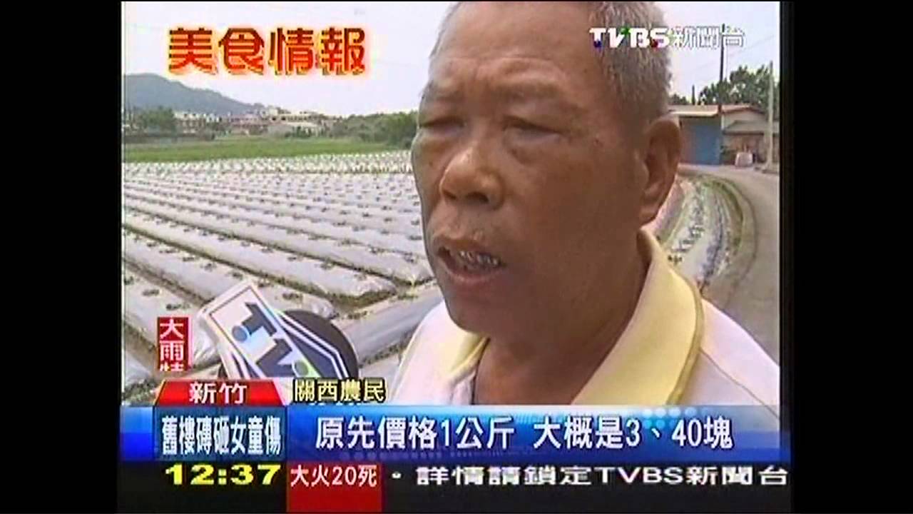 仙草粉、仙草麵 「黑金」年商機8千萬