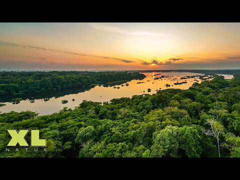 Amazonas hautnah: Ein Abenteuer zwischen Tradition und purer Natur