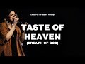 Taste of Heaven (Breath of God)