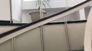 Spatiu de inchiriat in zona Ultracentral- Blocul Turn din Constanta