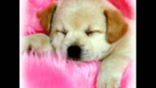 Mot à mot - Chimène Badi