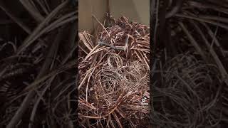 Let’s learn about metals: scrap copper wire