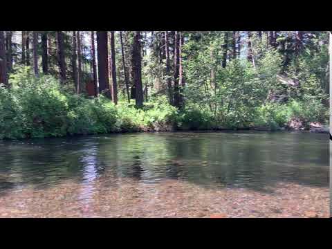 A 360 of the Metolius River