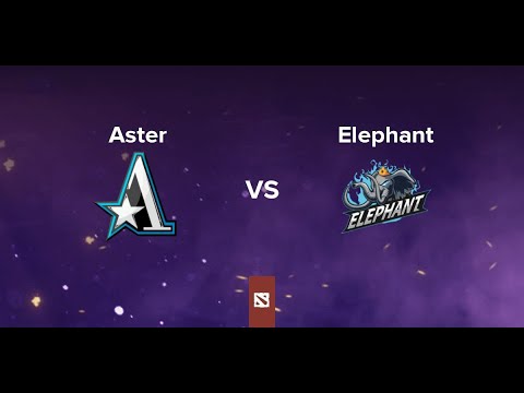 Aster vs Elephant - DPC China 2021 (map 2) 26.01.21