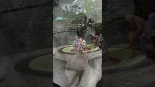 Download lagu Judika - Jadi Aku Sebentar saja #shorts #subscribe #trending #judika mp3