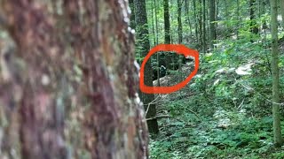 A Neighbor Asked Me To Have Our Viewers Review This Footage Taken In The Woods On Our Property Line video