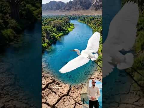 يا رب العالمين يا الله #اكسبلور #المراه #duet #الرمال #دويتو #اهميه #beautiful #الثامن #خيل #النظافه